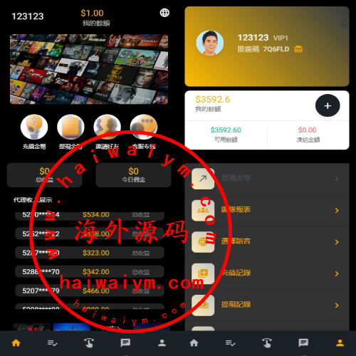 海外影视刷单抢单系统/多语言刷单/打针/叠加组