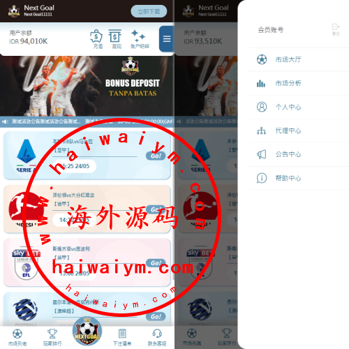 PC自适应反波胆系统/球盘源码/多级分销/充值返点